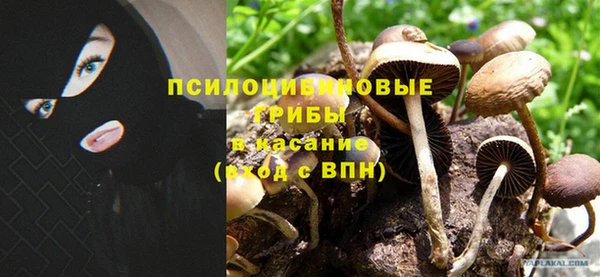первитин Абаза