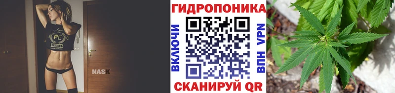 где купить наркоту  Ядрин  Бошки марихуана сатива 